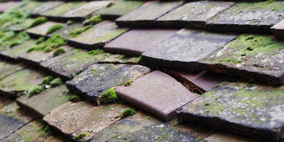Publow roof repair costs